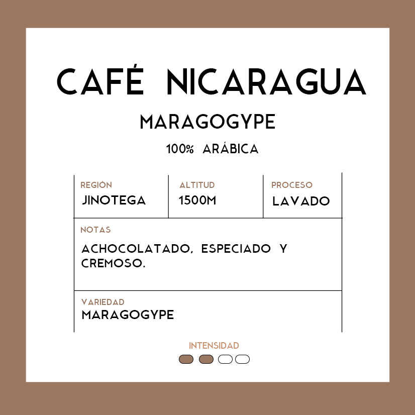 Café Nicaragua Maragogype