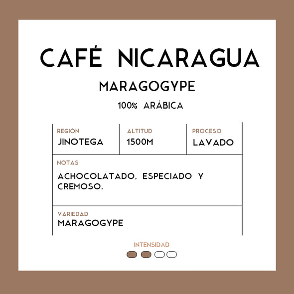 Café Nicaragua Maragogype
