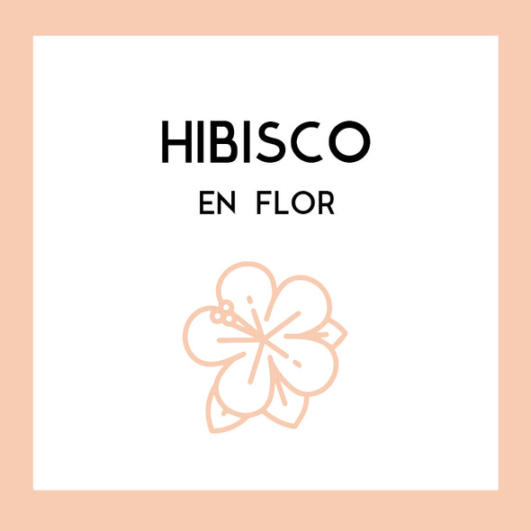 Flor de Hibisco