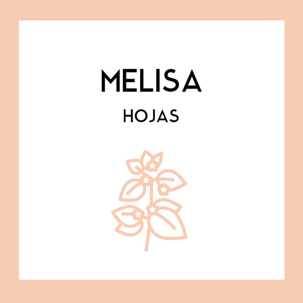 Hojas de Melisa