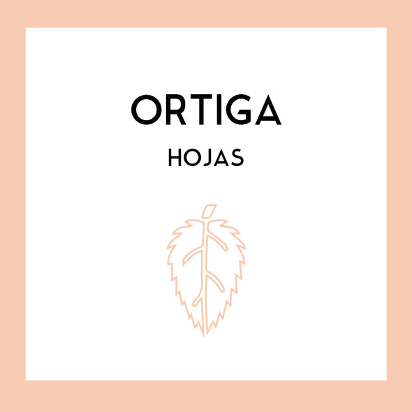 Hojas de Ortiga