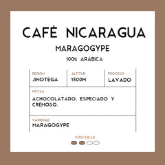 Café Nicaragua Maragogype