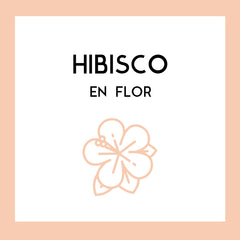 Flor de Hibisco