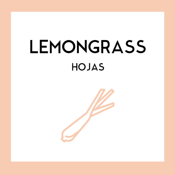 Hojas de Lemongrass