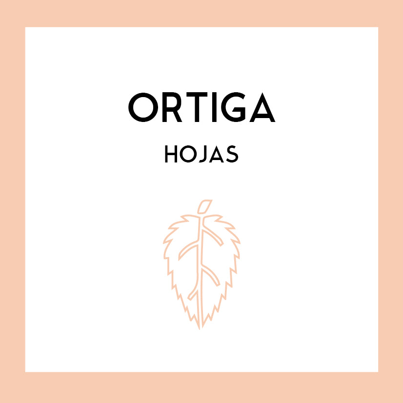 Hojas de Ortiga