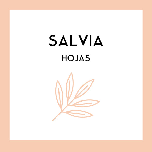 Hojas de Salvia