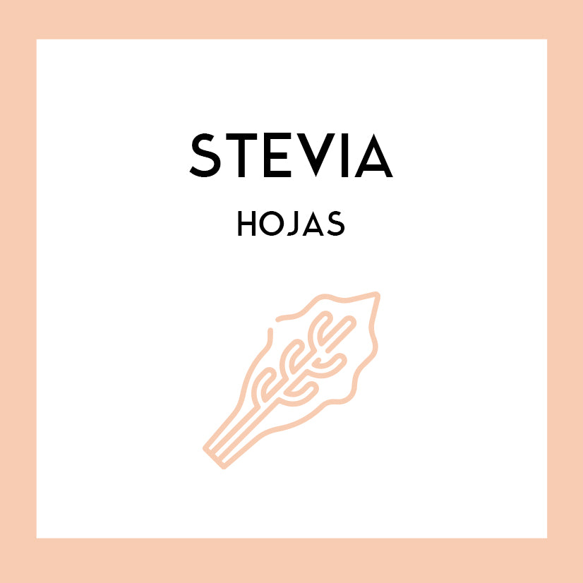 Hojas de Stevia